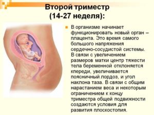 Советы беременным во втором триместре