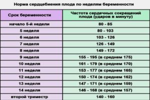 Сердцебиение на 8 неделе беременности