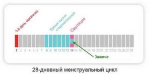 Можно ли забеременеть после дня овуляции