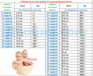 Вес ребенка на 36 неделе беременности норма таблица