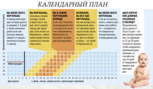 Через сколько дней после месячных начинается овуляция