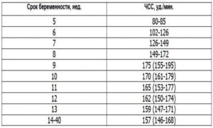 Норма пульса у беременных женщин в 3 триместре