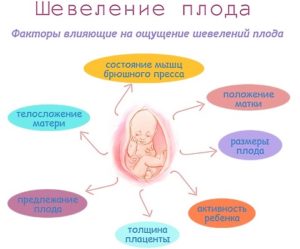 Во сколько недель можно почувствовать шевеление ребенка 2 беременность