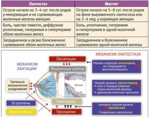 Народные средства от мастита у кормящей мамы