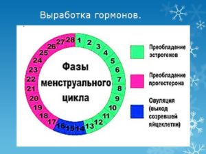 Может ли быть овуляция раньше середины цикла