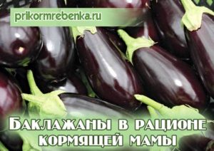 Можно ли кормящей маме баклажаны тушеные в первый месяц