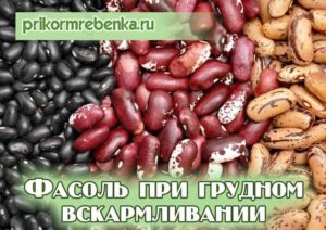 Можно ли есть кормящей маме стручковую фасоль