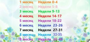 40 неделя это сколько месяцев беременности