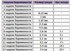 Размер плода на 3 неделе беременности