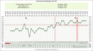 Температура на 9 неделе беременности