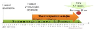 С какого дня цикла начинают стимуляцию овуляции эко