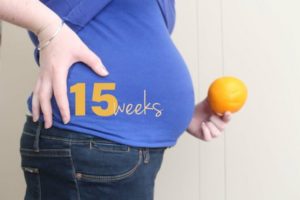 15 недель беременности размер плода