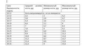 Норма носовой кости в 20 недель беременности