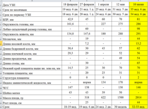 Нормы узи на 36 неделе беременности