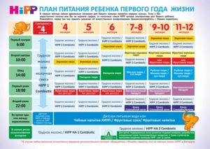 Что можно есть ребенку в 6 месяцев при искусственном вскармливании