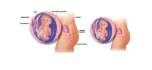 16 неделя беременности что происходит с малышом и мамой
