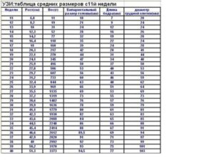 Размеры плода на 13 неделе беременности по узи таблица