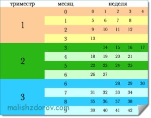 31 неделя беременности какой это месяц