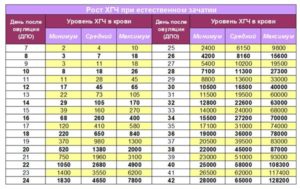 Нормы хгч по дням после овуляции