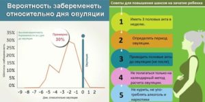 В день овуляции какой шанс забеременеть