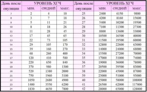 Таблица роста хгч по дням после овуляции