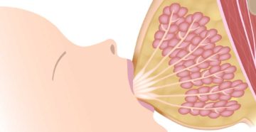 К какому врачу обращаться при мастите у кормящих мам