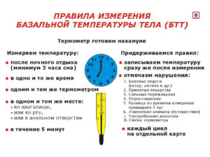 Как измерить базальную температуру для определения овуляции