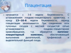 Низкая плацентация при беременности 13 недель