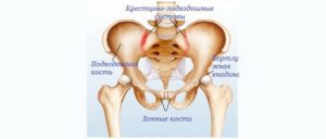Болит лобковая кость беременность 33 недели