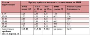 На 24 неделе беременности прибавка в весе