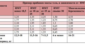 На 24 неделе беременности прибавка в весе