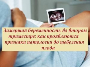 Как проявляется замершая беременность в первом триместре