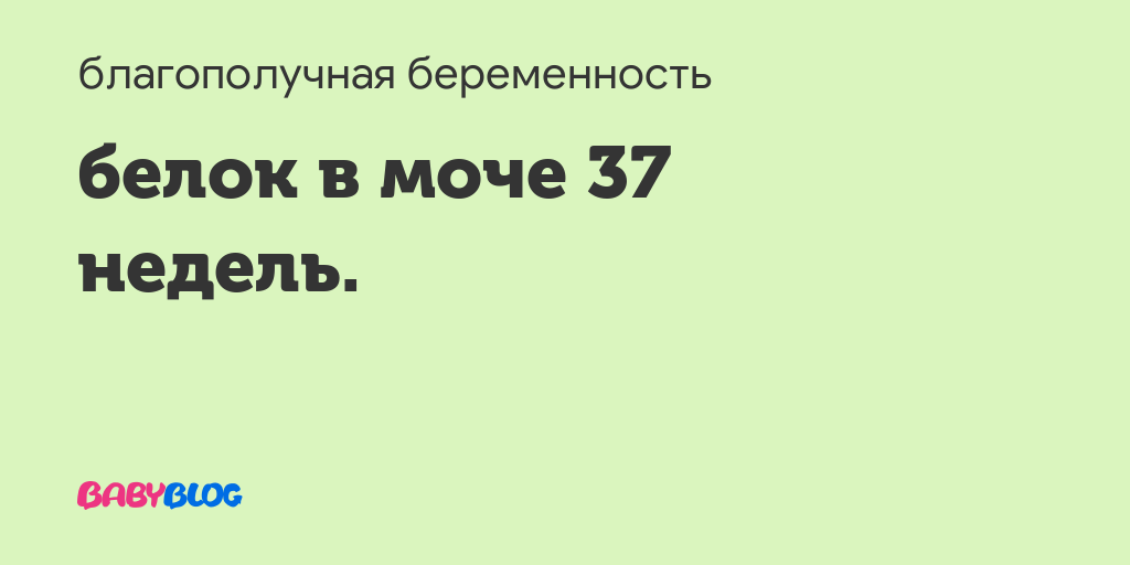 В моче белок на 37 неделе беременности