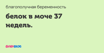 В моче белок на 37 неделе беременности