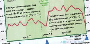 Можно ли забеременеть при прерванном акте в день овуляции