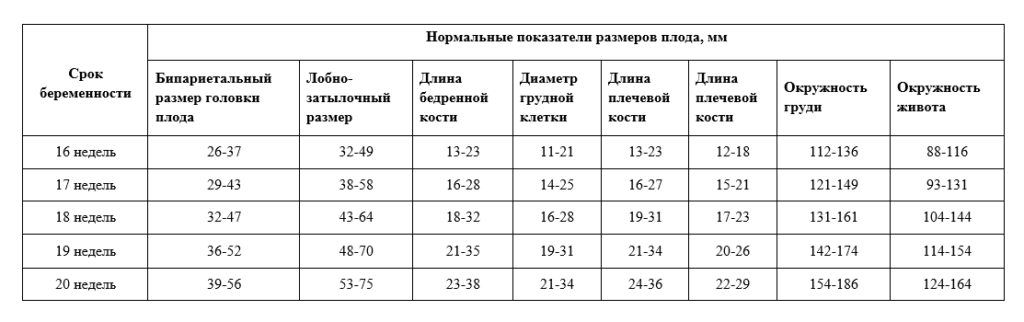 Фетометрия плода на 20 неделе беременности норма