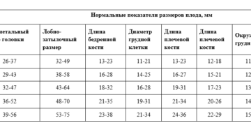 Фетометрия плода на 20 неделе беременности норма