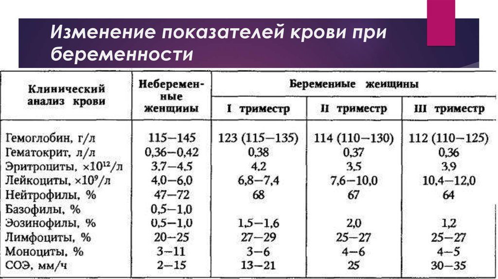 Лейкоциты в крови при беременности 3 триместр норма