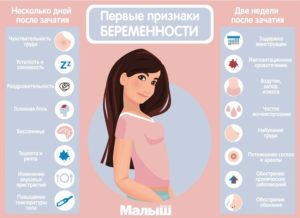 Признаки беременности в первые 2 недели после зачатия