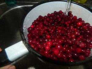 Клюквенный морс рецепт из замороженных ягод для детей