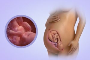 38 неделя беременности ребенок часто икает