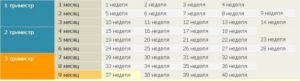 17 неделя беременности какой это месяц