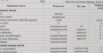 Лейкоциты в моче на 39 неделе беременности