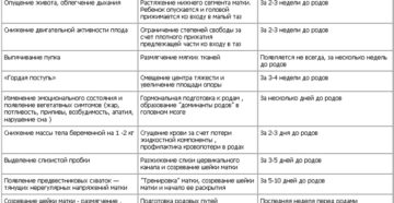 39 недель беременности предвестники родов у первородящих