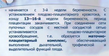 Что значит низкая плацентация при беременности