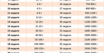 Вес и рост плода на 32 неделе беременности