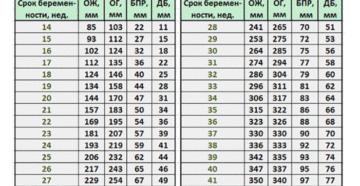 Фетометрия плода на 32 неделе беременности таблица