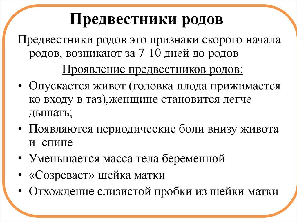 Предвестники родов у первородок на 38 неделе беременности