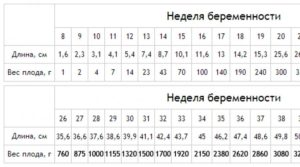 Вес плода на 31 неделе беременности