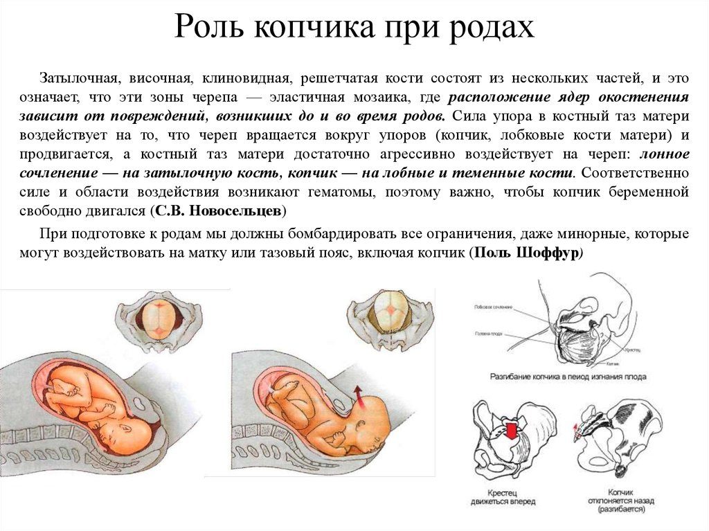 Болит копчик 38 неделя беременности